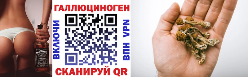 Галлюциногенные грибы Cubensis  shop формула  Задонск  купить наркоту 